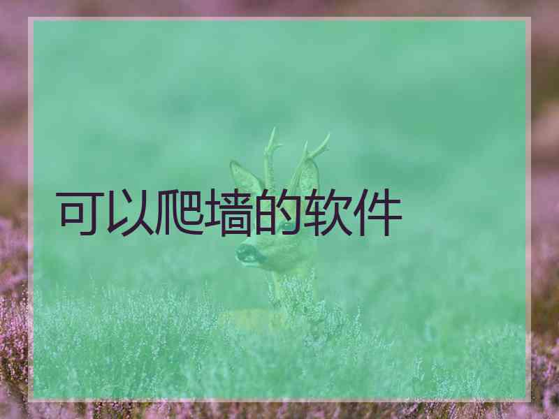 可以爬墙的软件