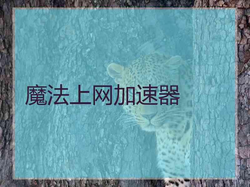魔法上网加速器