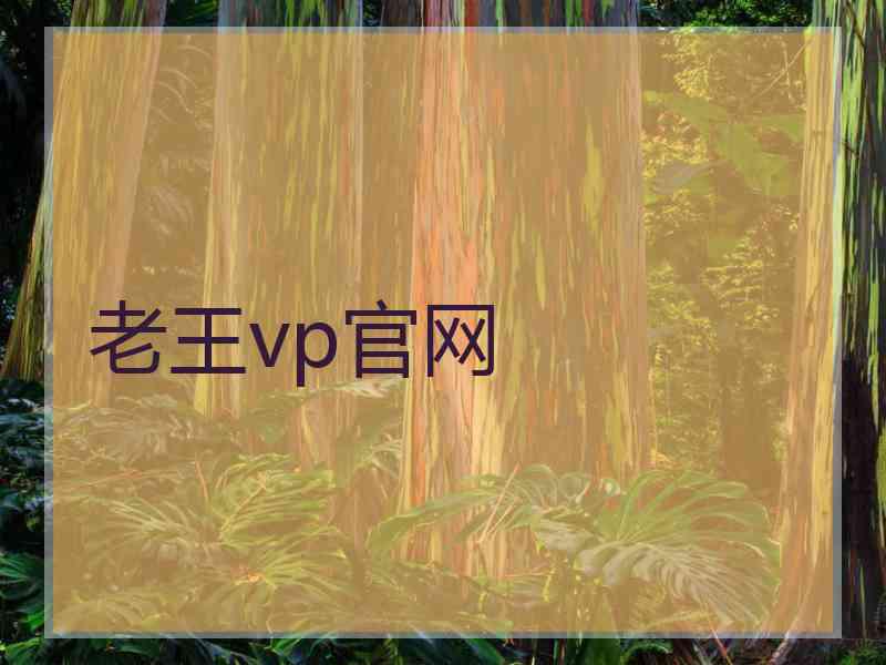 老王vp官网