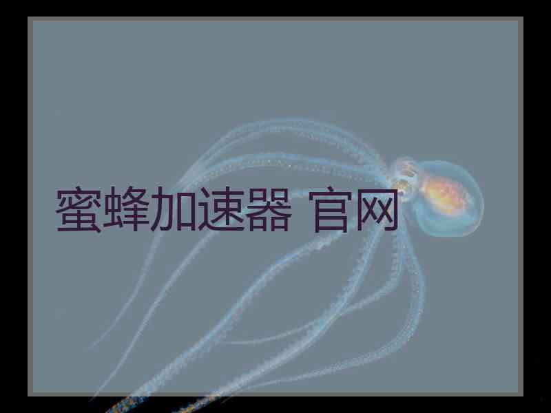 蜜蜂加速器 官网