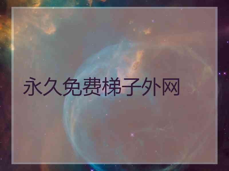 永久免费梯子外网