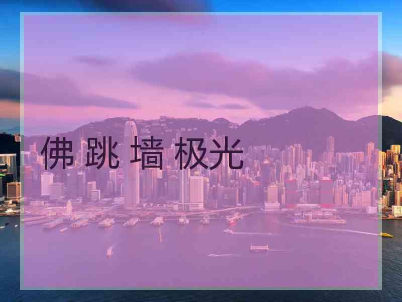 佛 跳 墙 极光
