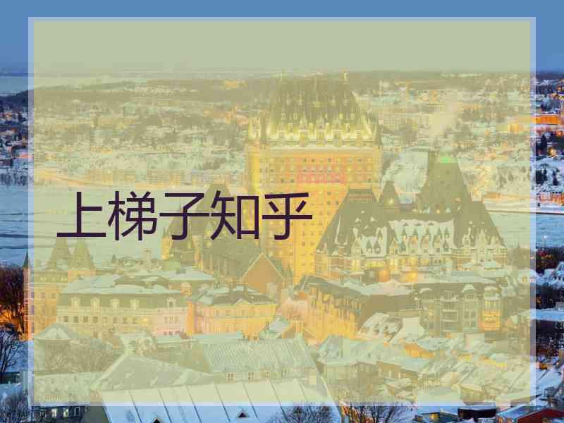 上梯子知乎