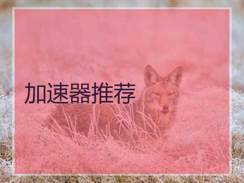 加速器推荐
