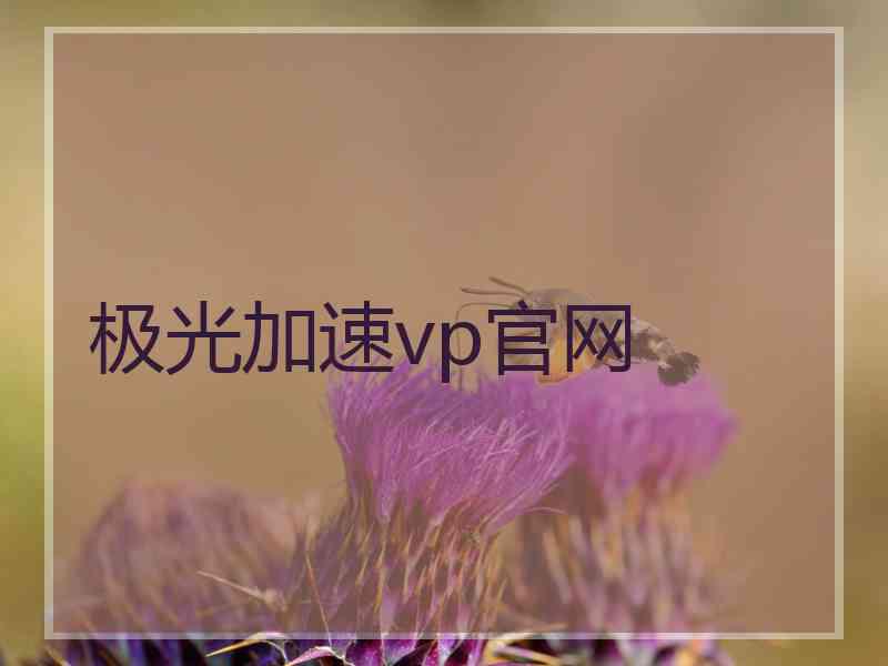 极光加速vp官网