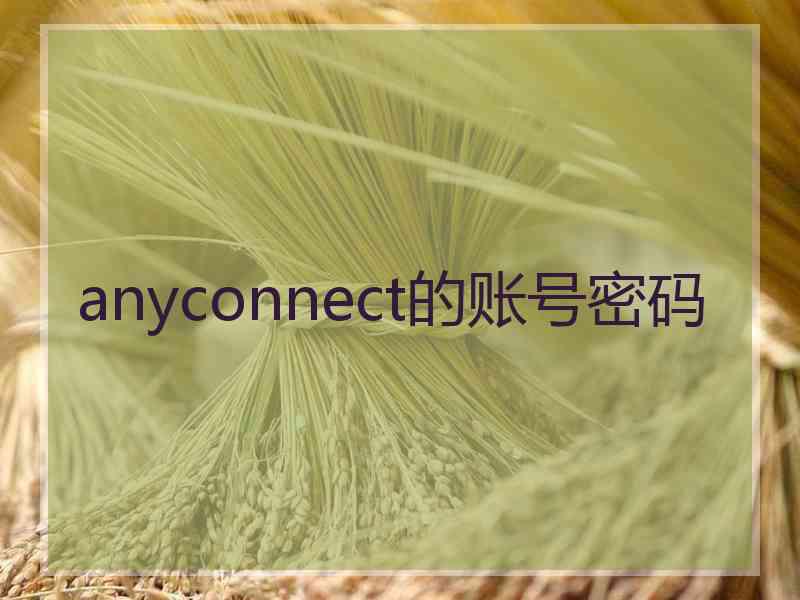 anyconnect的账号密码