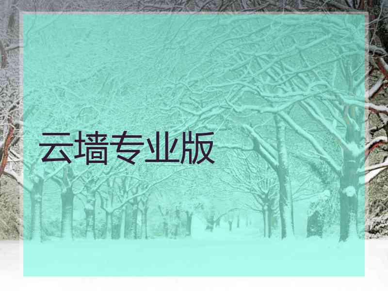 云墙专业版