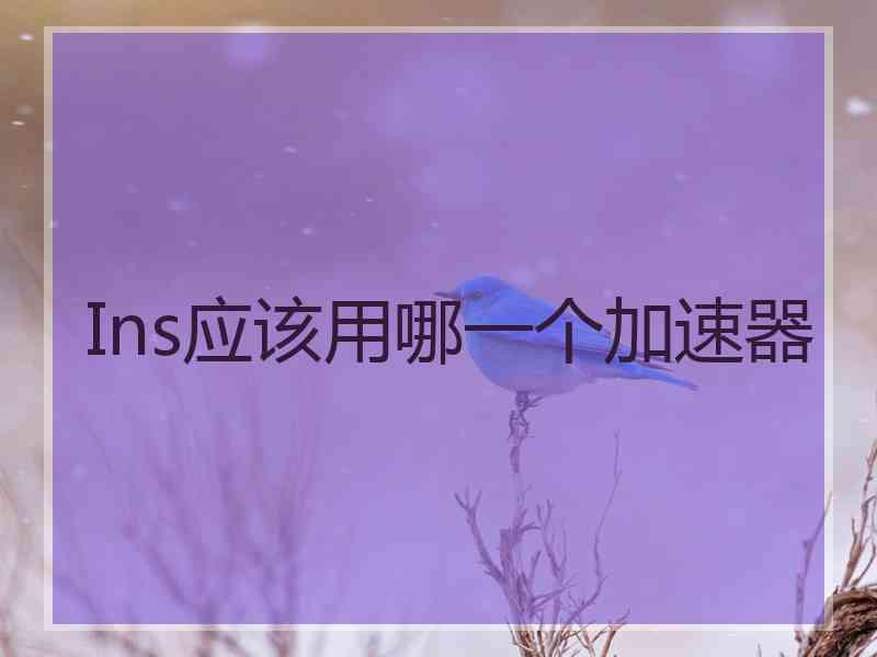 Ins应该用哪一个加速器