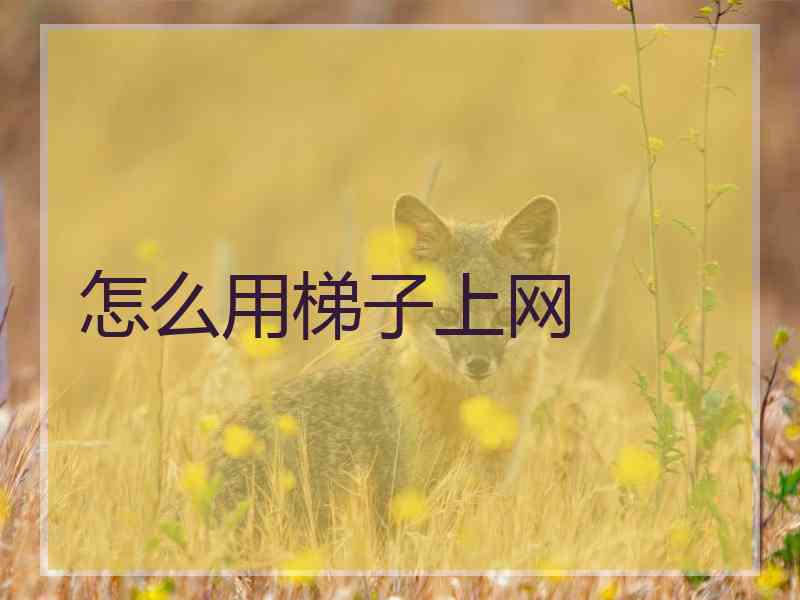怎么用梯子上网