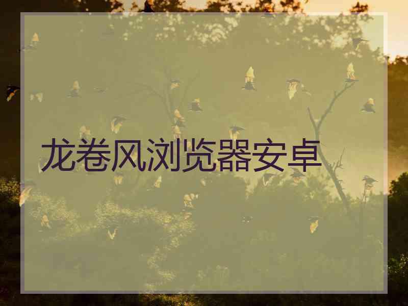 龙卷风浏览器安卓
