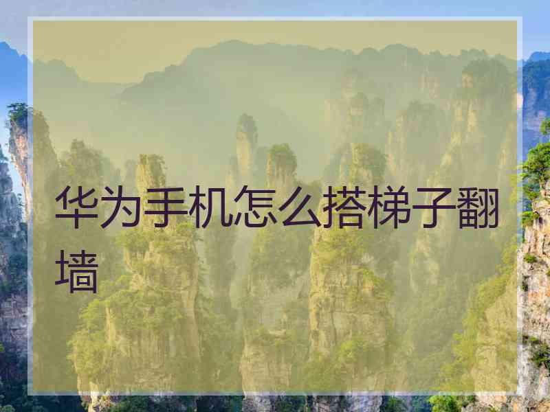 华为手机怎么搭梯子翻墙
