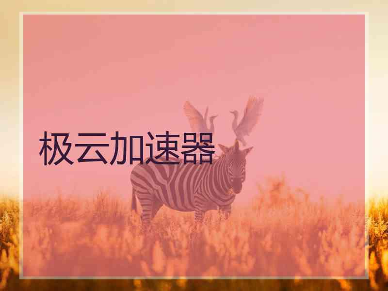 极云加速器