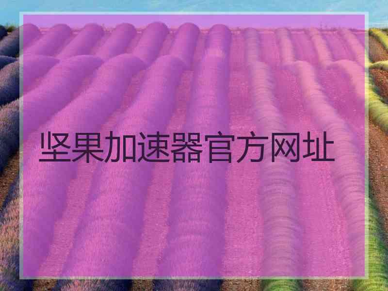 坚果加速器官方网址