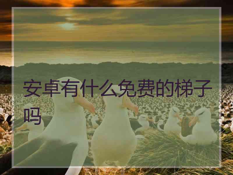 安卓有什么免费的梯子吗