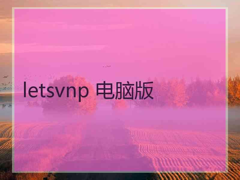 letsvnp 电脑版