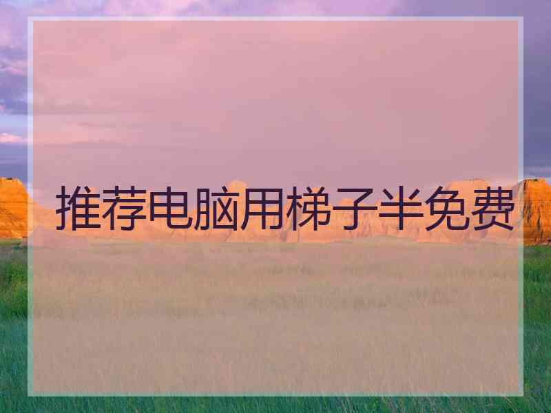 推荐电脑用梯子半免费