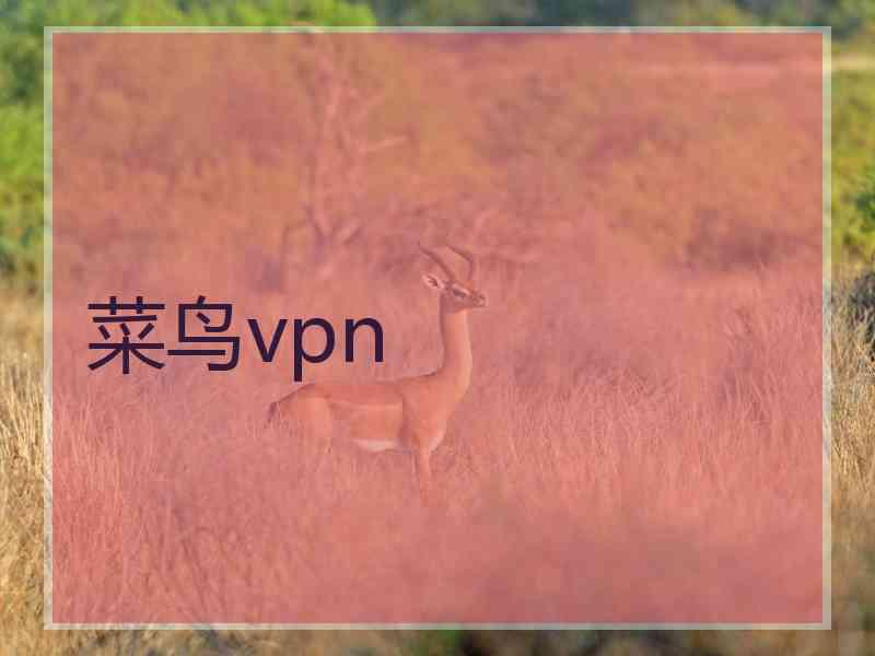 菜鸟vpn