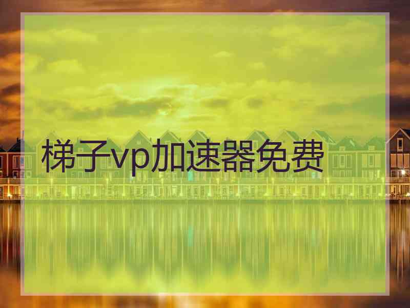梯子vp加速器免费