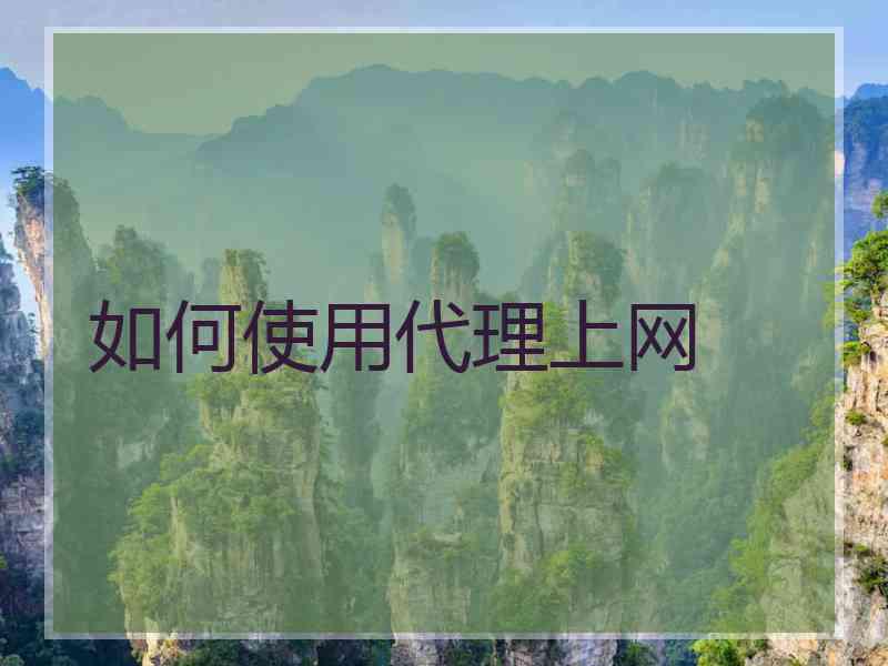 如何使用代理上网