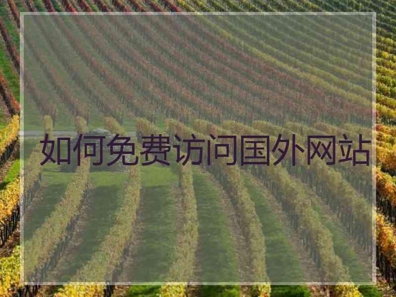 如何免费访问国外网站