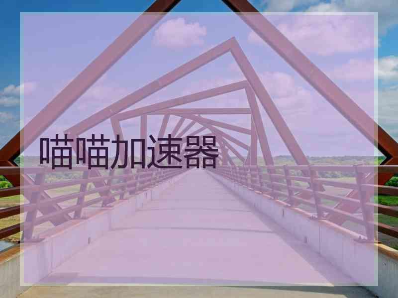 喵喵加速器