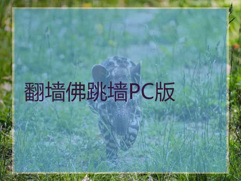 翻墙佛跳墙PC版