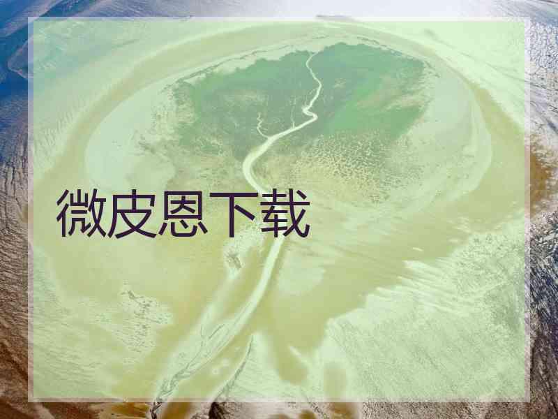 微皮恩下载