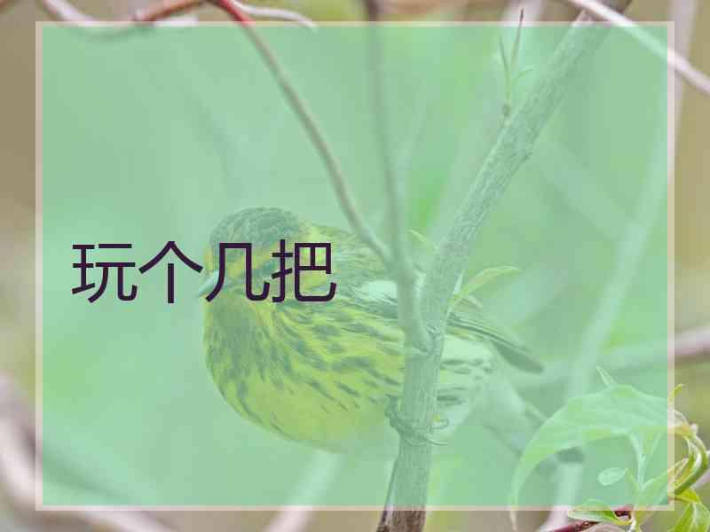玩个几把