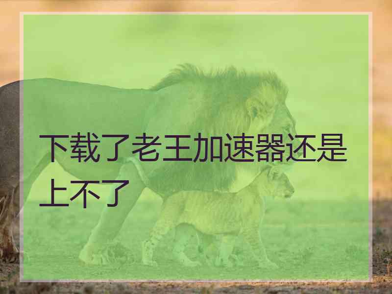 下载了老王加速器还是上不了