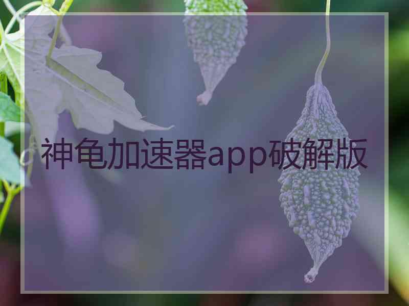 神龟加速器app破解版