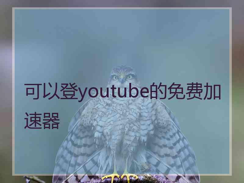 可以登youtube的免费加速器