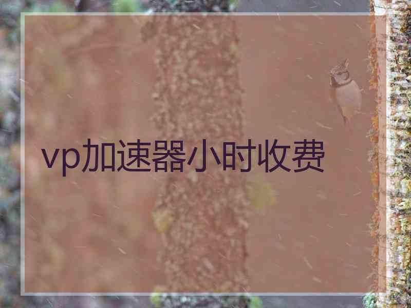vp加速器小时收费