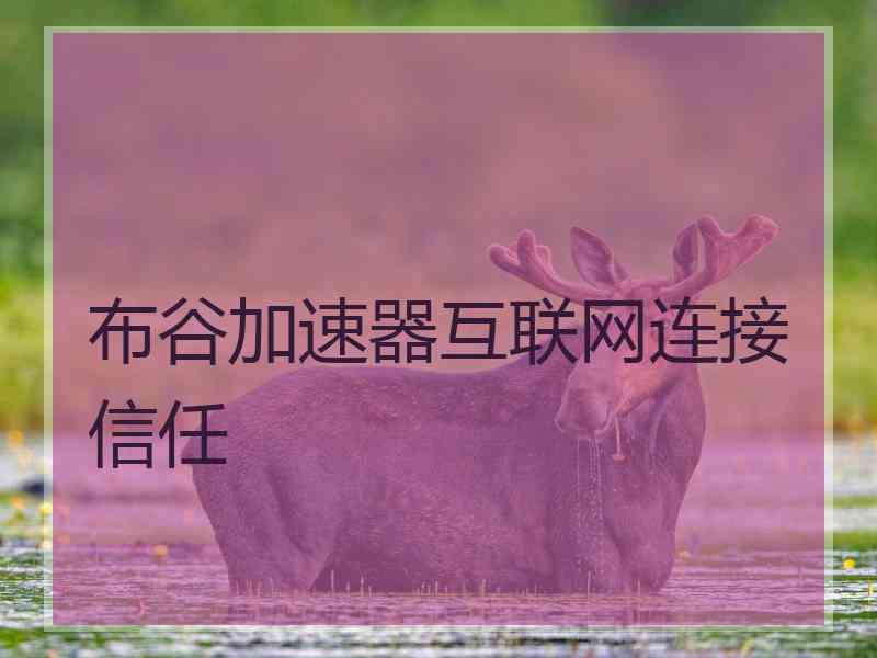 布谷加速器互联网连接信任