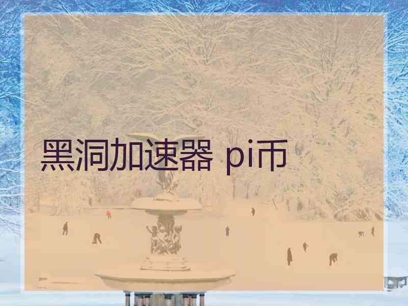 黑洞加速器 pi币