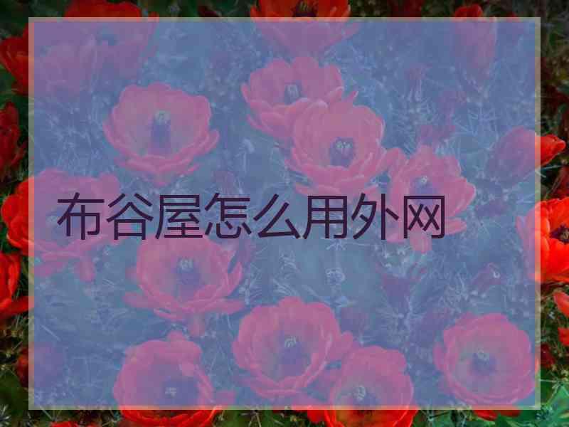 布谷屋怎么用外网