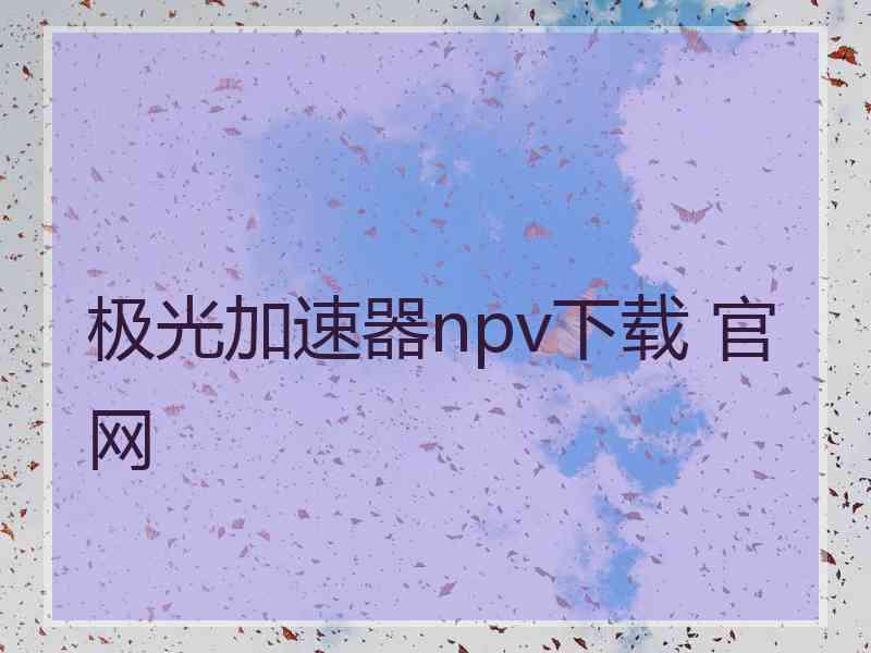 极光加速器npv下载 官网