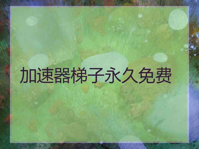 加速器梯子永久免费