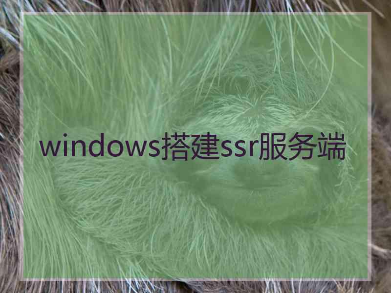 windows搭建ssr服务端