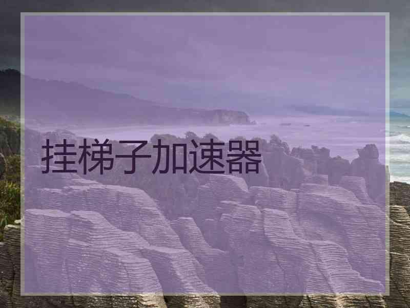 挂梯子加速器