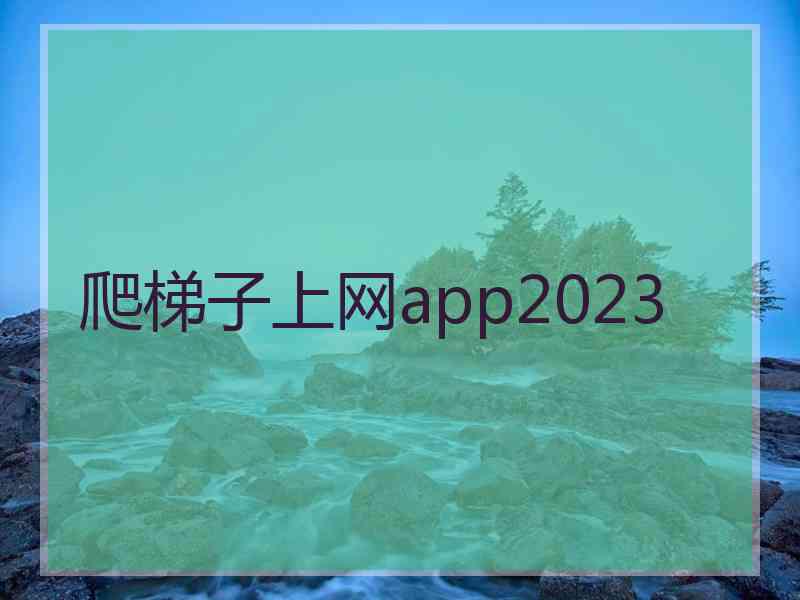 爬梯子上网app2023