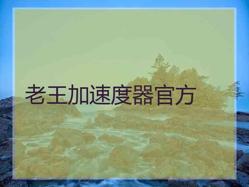 老王加速度器官方