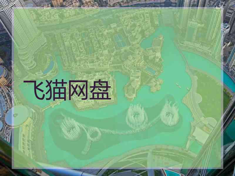 飞猫网盘