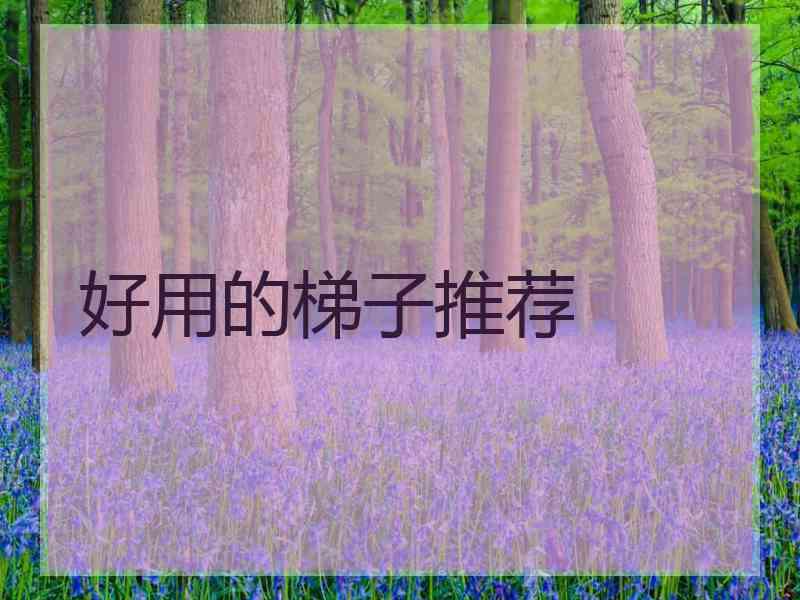 好用的梯子推荐
