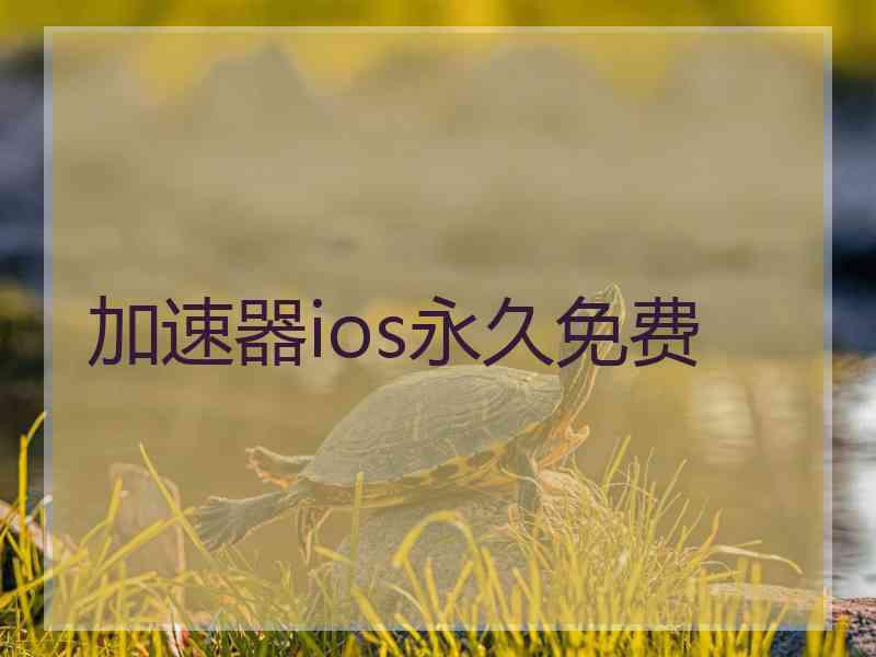 加速器ios永久免费