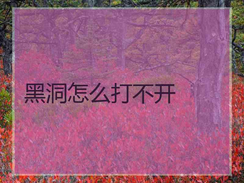 黑洞怎么打不开