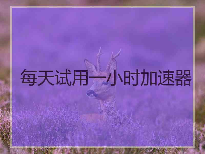 每天试用一小时加速器