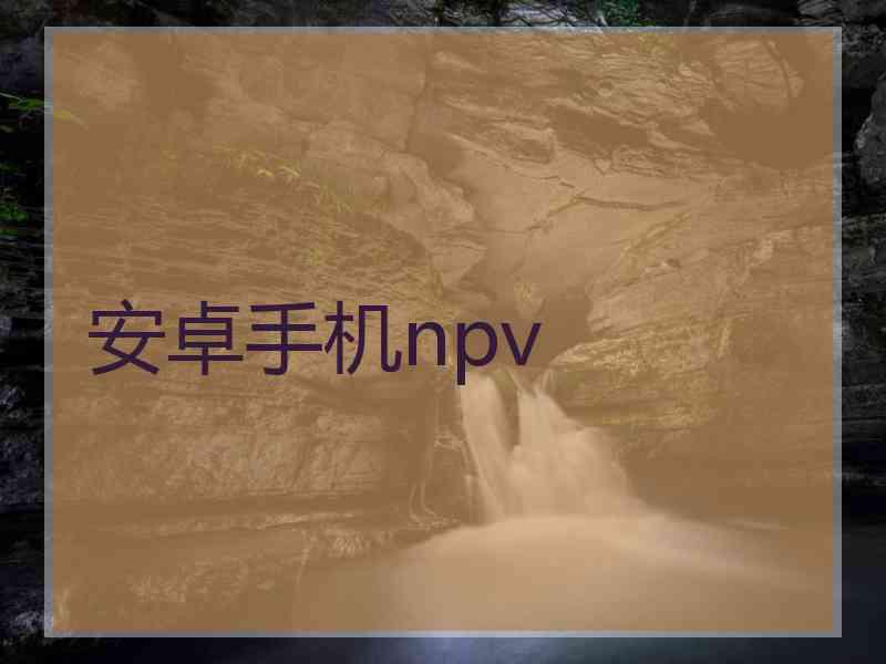 安卓手机npv