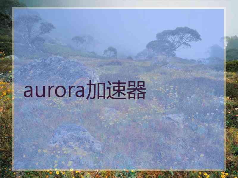 aurora加速器