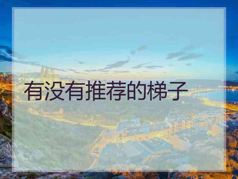 有没有推荐的梯子