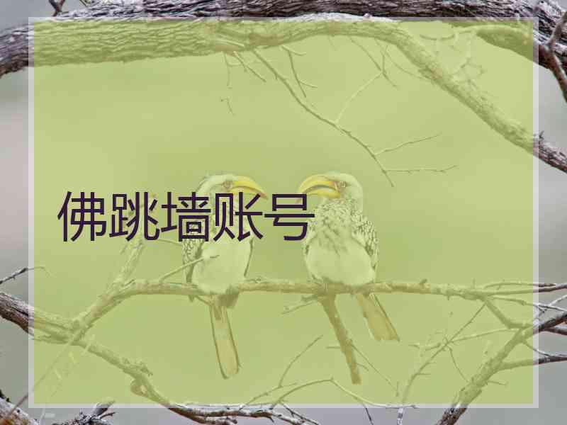 佛跳墙账号